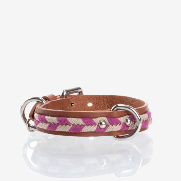 Jaipur fushia dog collar Caroline De Marchi