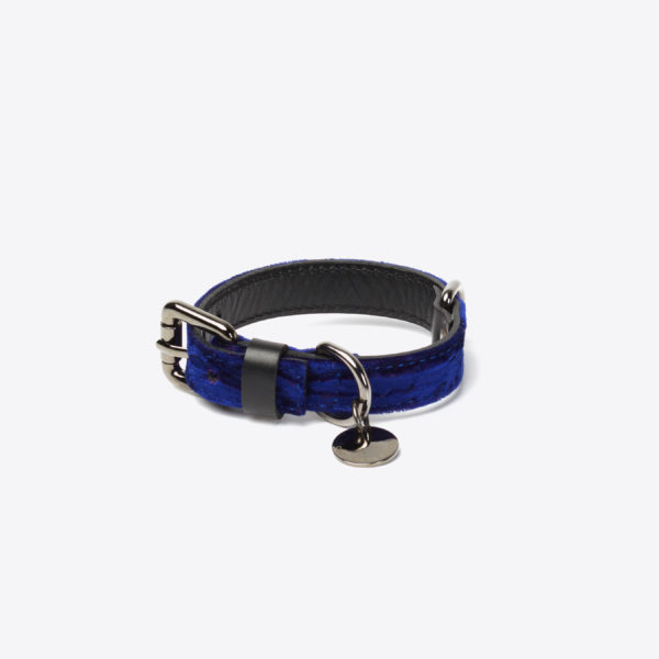 Jaipur Mitsu blue dog collar Caroline De Marchi