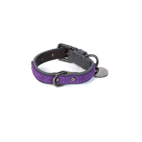 Jaipur Elia purple velvet dog collar Caroline De Marchi